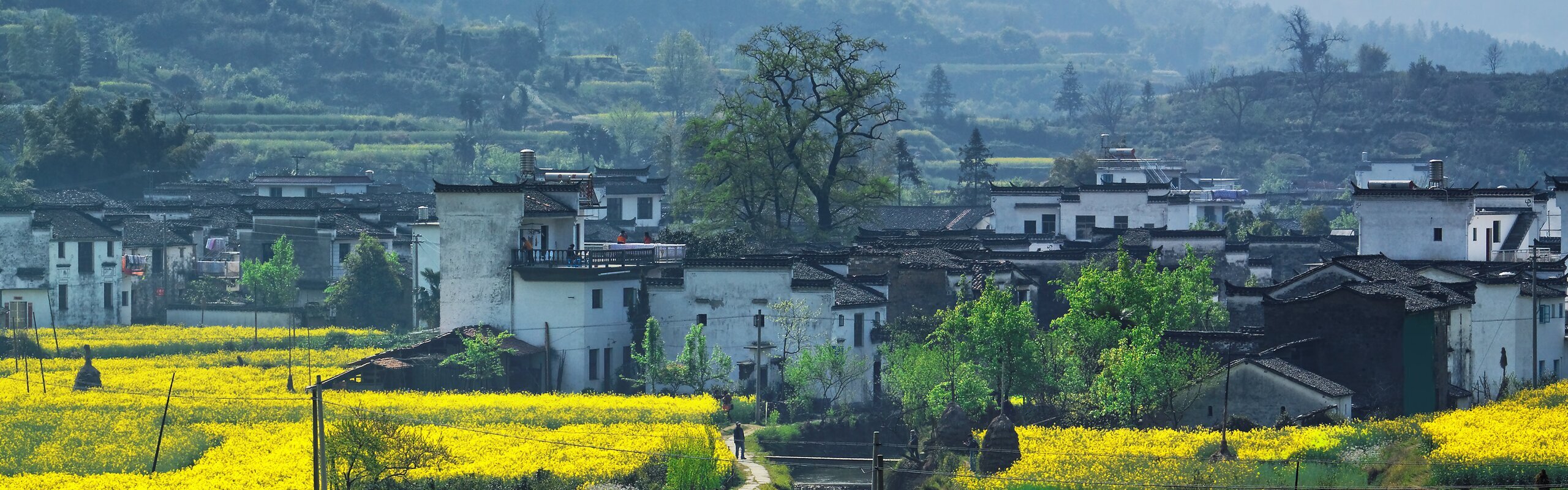 Wuyuan Travel Guide 