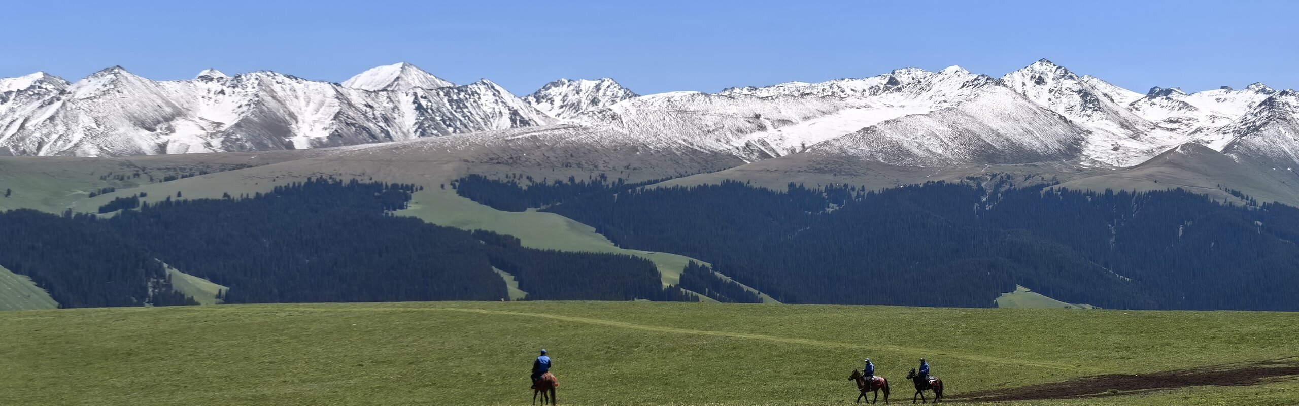 Top Xinjiang Tours 2026: Customize Your Silk Road Adventure