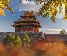 Catch the Golden Vibe in Beijing (Late Oct. to Early Nov.)