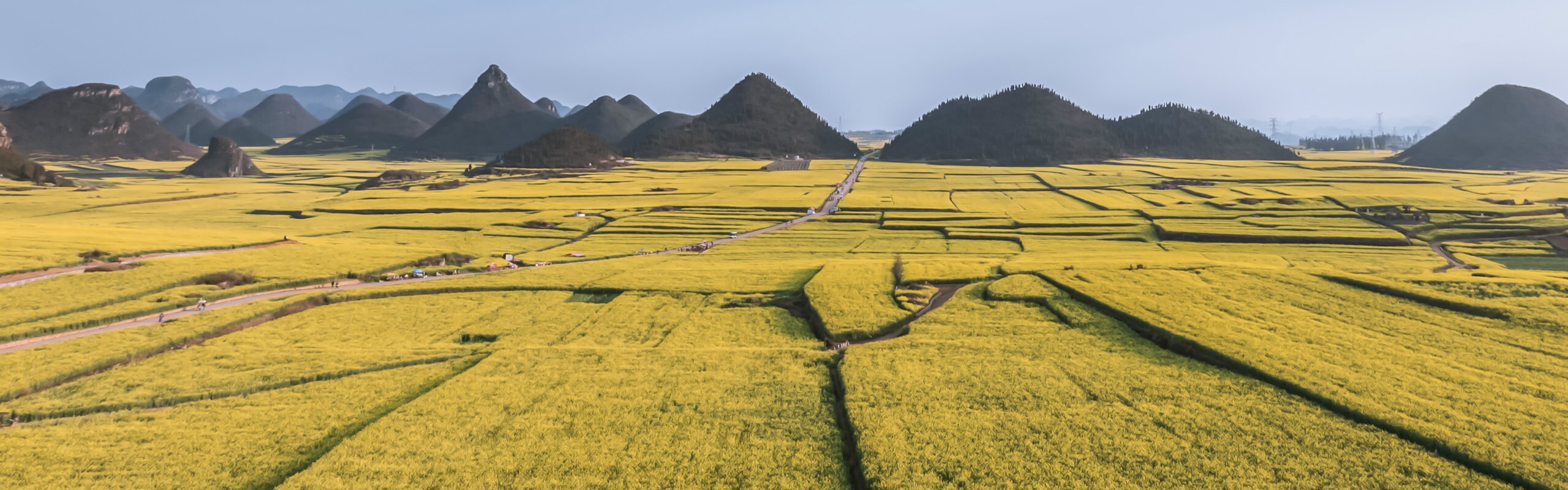 5-Day Kunming, Luoping, and Wanfenglin Tour