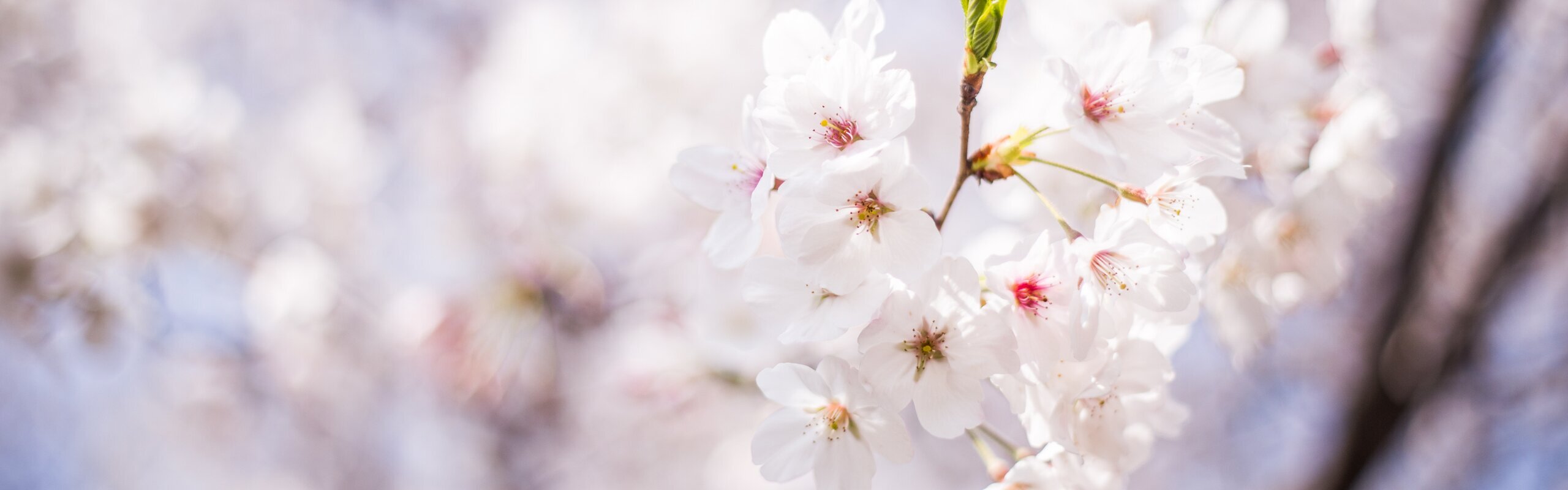  Taiwan Weather in February 