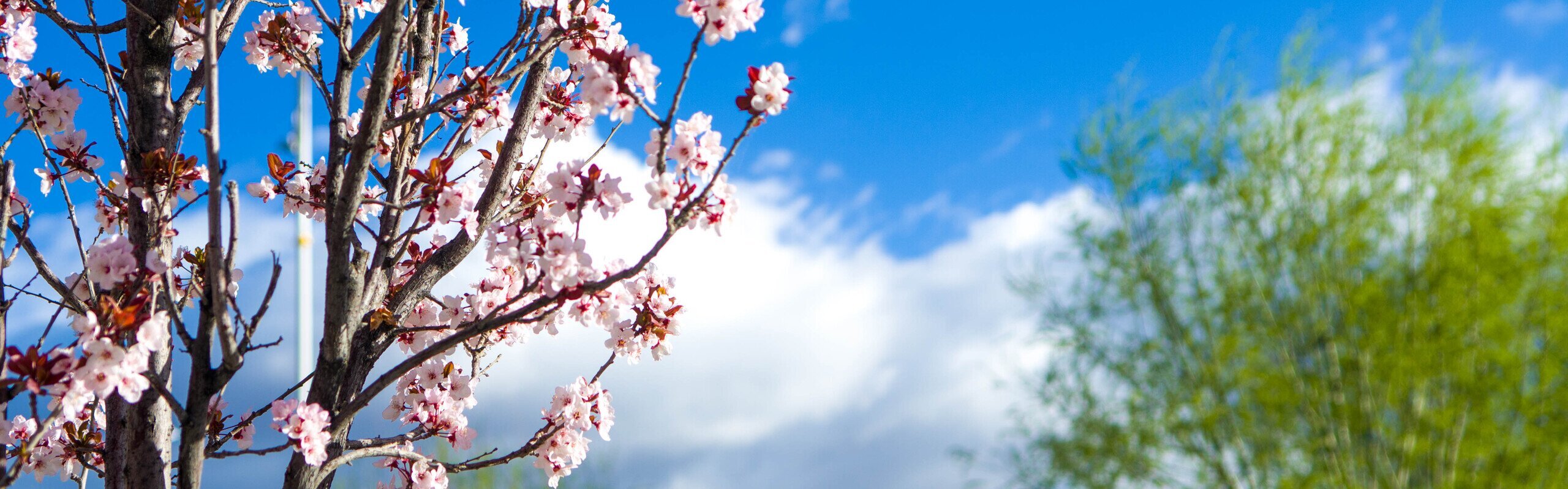 Shanghai Weather in April 2026: Weather Tips & Where to Go