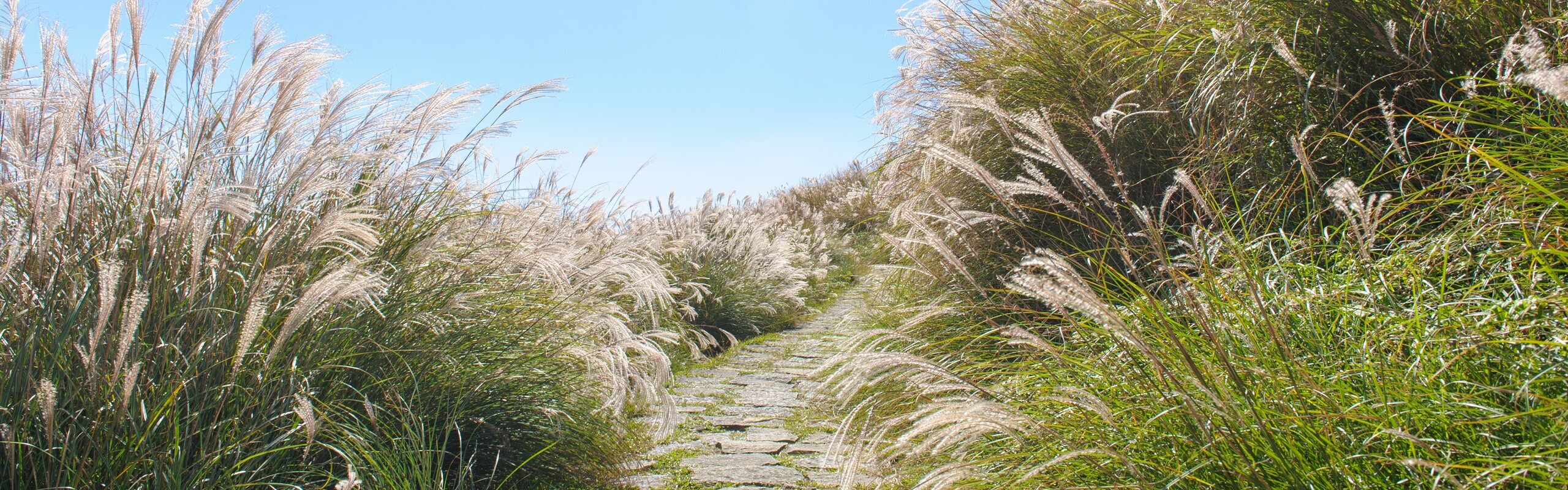 Taiwan Weather in November: Things to Do