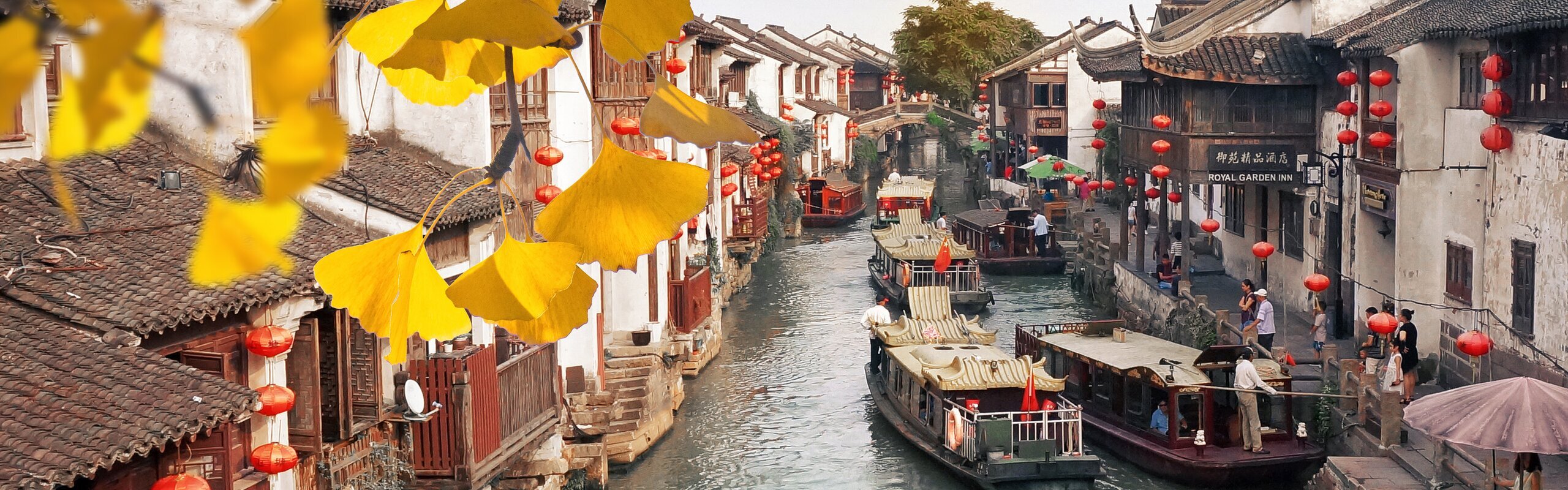 Wuzhen Water Town