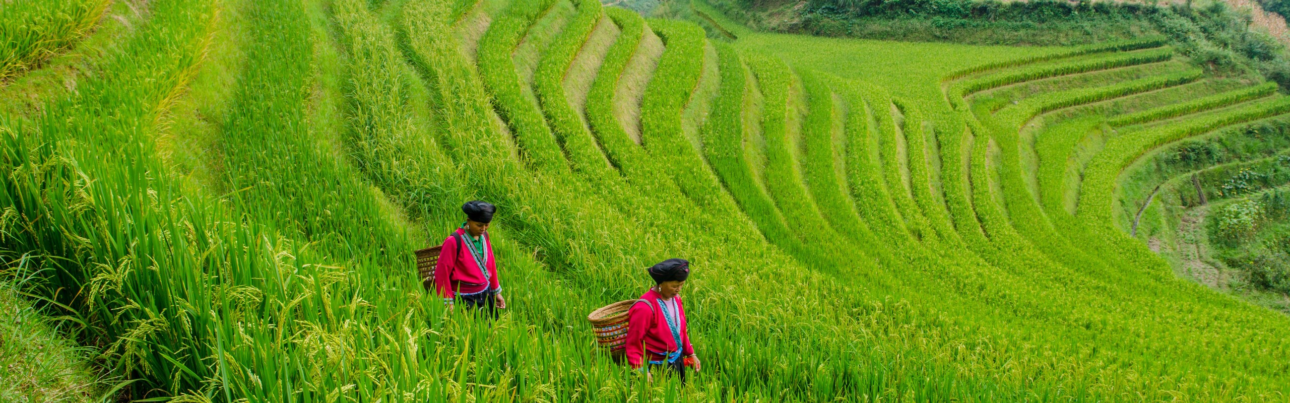 7-Day High Speed Railway Tour from Guangzhou to Guizhou