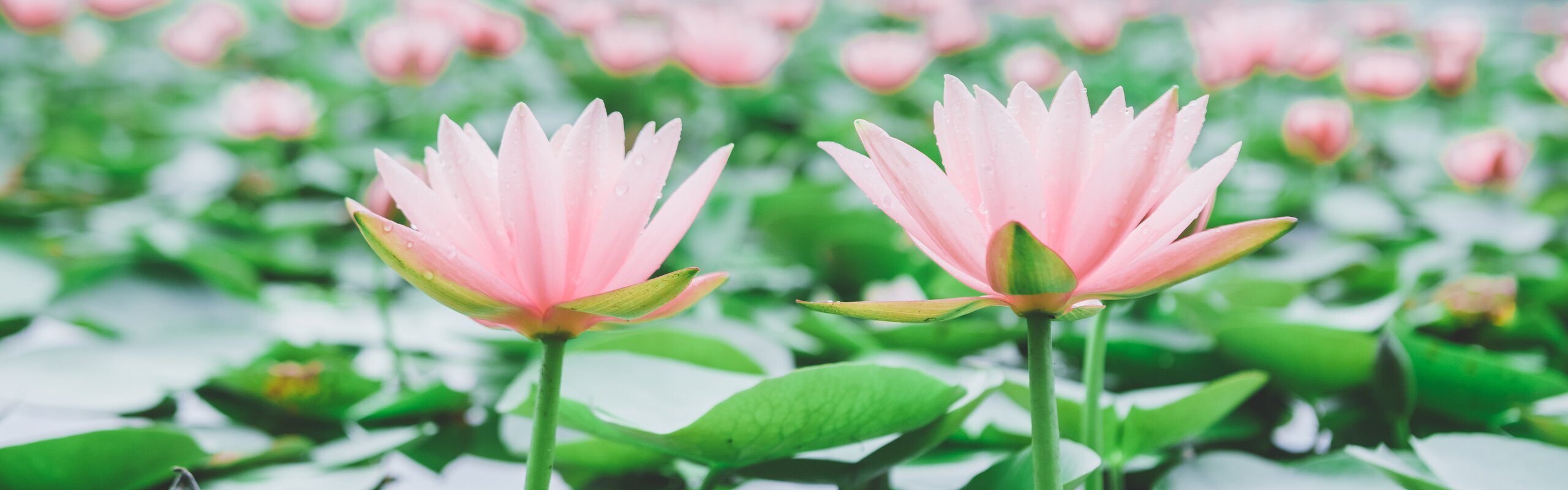 Taiwan Weather in May 