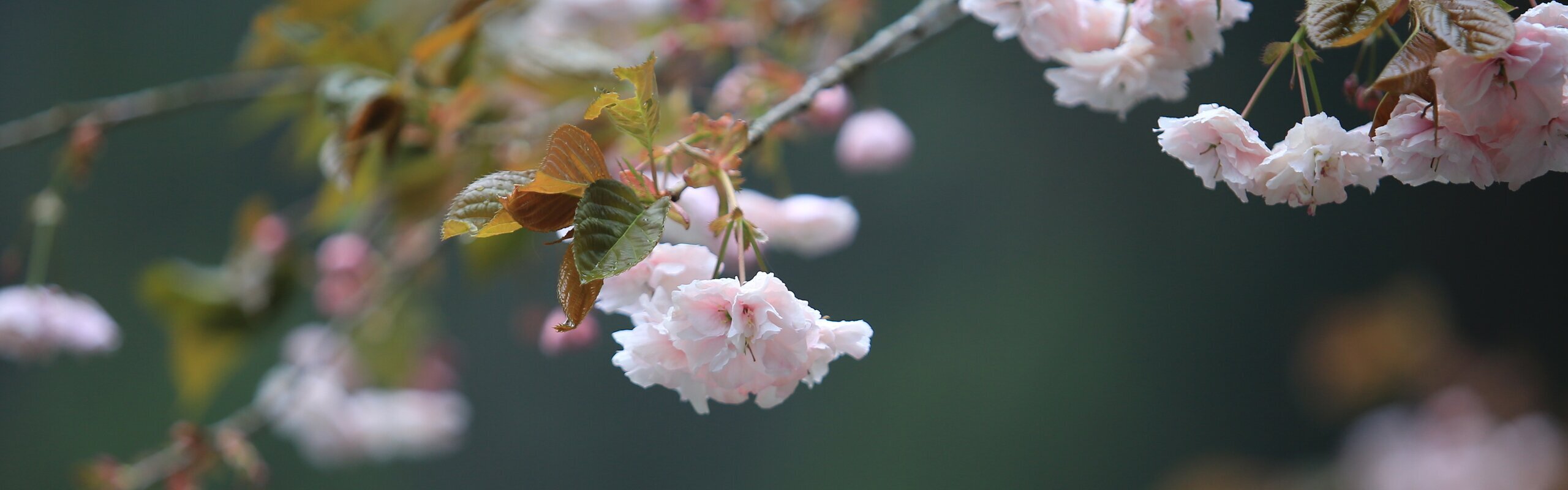 Taiwan Weather in April 