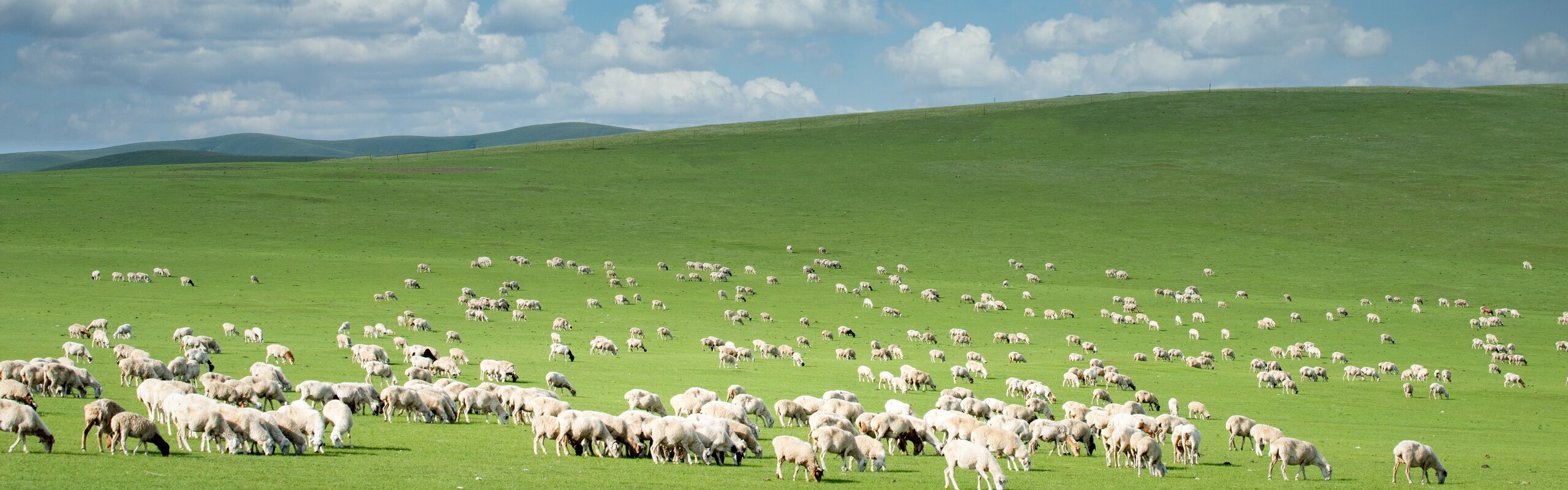 Hulunbuir Travel Guide — How to Plan a Trip to Hulunbuir